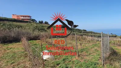 Rustic Finca in Tacoronte photo 5