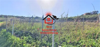 Rustic Finca in Tacoronte photo 12