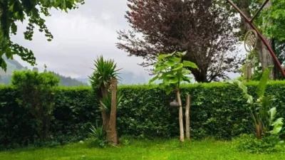 Chalet in Bedia photo 55
