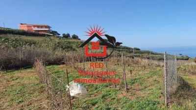 Rustic Finca in Tacoronte photo 7