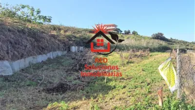 Rustic Finca in Tacoronte photo 9