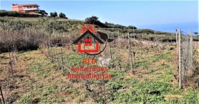 Rustic Finca in Tacoronte photo 6