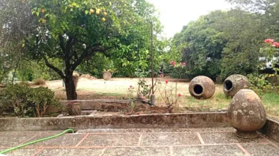 Chalet in Villanueva de La Vera photo 56