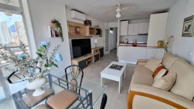 Pis – Benidorm - Vista 4