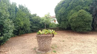 Chalet in Villanueva de La Vera photo 59