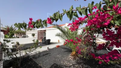Chalet in Parque Holandés photo 2