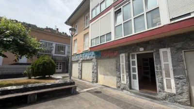 Apartment in Zaldibia photo 13