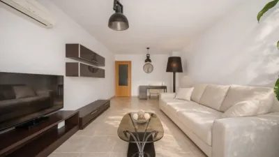 Apartment in Mas Mates-Boscà-Mas Fumats photo 3