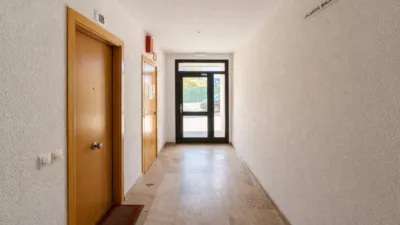 Apartment in Mas Mates-Boscà-Mas Fumats photo 19