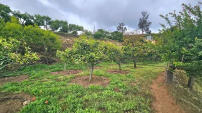 Finca rústica en Acequia Marrero photo 58