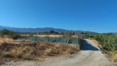 Rustic Finca in Alhendín photo 3