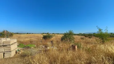 Rustic Finca in Alhendín photo 26