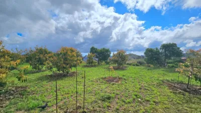 Finca rústica en Acequia Marrero photo 57