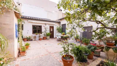 House in El Ranero-San Basilio photo 38