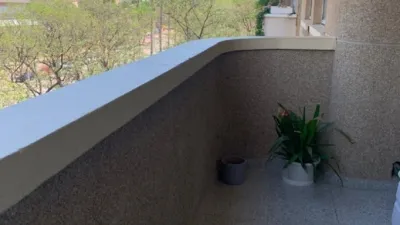 Apartment in Santa María de Gracia photo 34