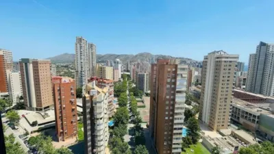 Penthouse on Avenida de Europa, 23 photo 18