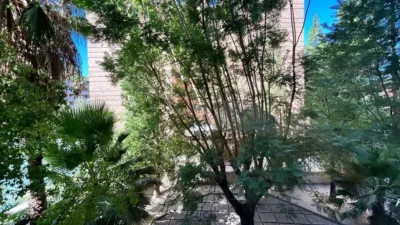 Apartment in La Fama photo 14