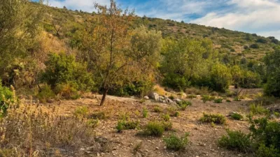 Terreno en venta en Carrer de les Escoles - Vista 2
