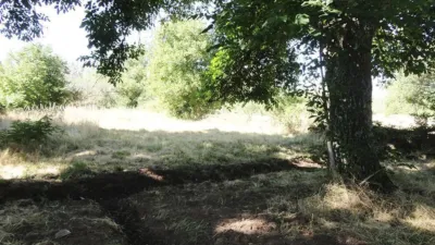 Chalet in Pinilla de los Moros photo 34