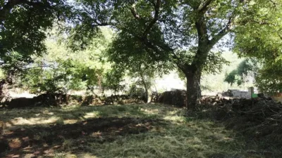 Chalet in Pinilla de los Moros photo 35