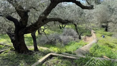 Rustic farm in L'Aldea photo 32