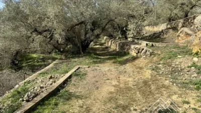 Rustic farm in L'Aldea photo 20