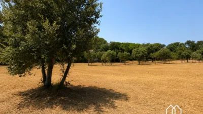 Rustic Finca in Bufaganyes photo 42