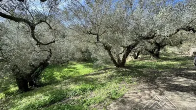 Rustic farm in L'Aldea photo 23