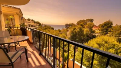 Apartment in Mascarat photo 9