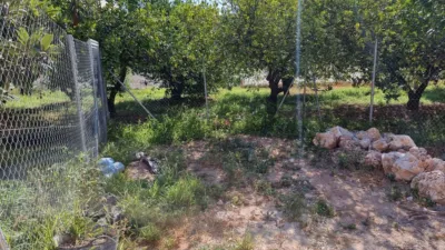 Rustic farm in Callosa d'en Sarrià photo 12