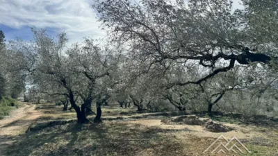 Rustic farm in L'Aldea photo 5