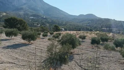 Rustic Finca in the Finestrat Area photo 14