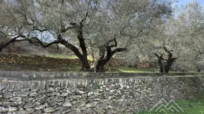 Rustic farm in L'Aldea photo 41