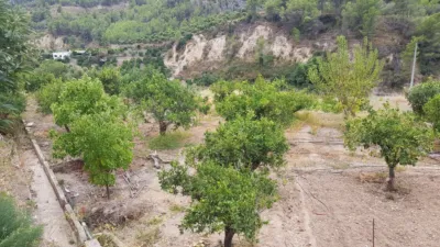 Rustic Finca in Callosa d'en Sarrià photo 10