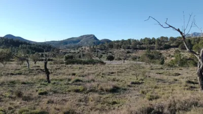 Casa – Relleu, la Marina Baixa - Més