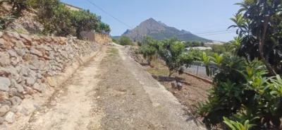 Rustic finca in Callosa d'en Sarrià photo 9