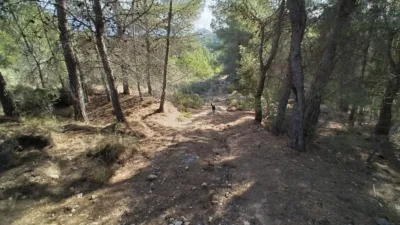 Casa – Polop, Xirles - Vista 5