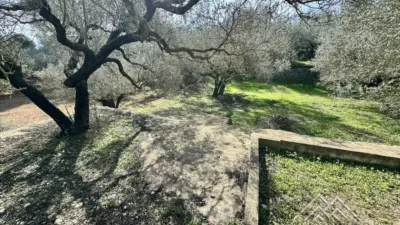 Rustic farm in L'Aldea photo 40