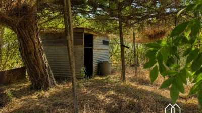Rustic Finca in Bufaganyes photo 7
