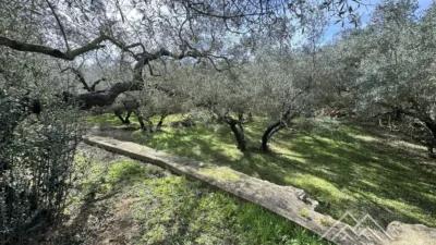Rustic farm in L'Aldea photo 34