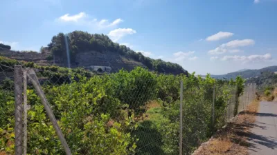 Rustic farm in Callosa d'en Sarrià photo 11