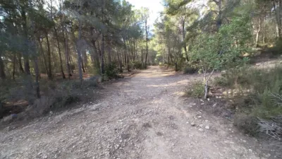 Rustic finca in Polop photo 9