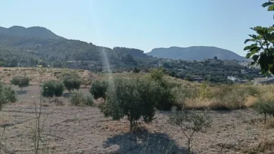 Rustic Finca in the Finestrat Area photo 15