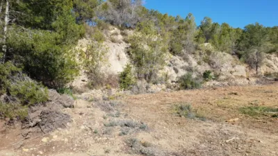 Rustic finca in Callosa d'en Sarrià photo 11