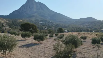 Rustic Finca in the Finestrat Area photo 13