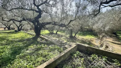 Rustic farm in L'Aldea photo 38