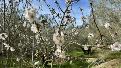 Rustic farm in L'Aldea photo 29