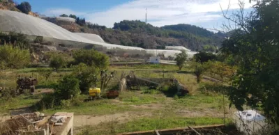Rustic Finca in Callosa d'en Sarrià photo 19