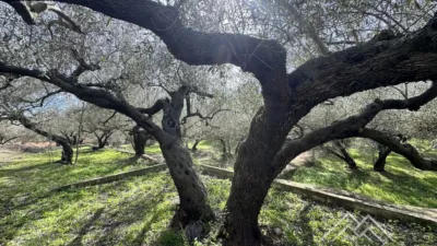 Rustic farm in L'Aldea photo 37