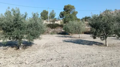 Rustic Finca in the Finestrat Area photo 19